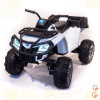 Квадроцикл BDM "Grizzly Next 4WD" (BDM 0909)