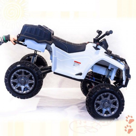 Квадроцикл BDM "Grizzly Next 4WD" (BDM 0909)