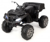 Квадроцикл BDM "Grizzly Next 4WD" (BDM 0909)