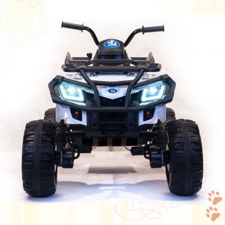 Квадроцикл BDM "Grizzly Next 4WD" (BDM 0909)