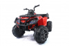 Детский квадроцикл Grizzly Next Red 4WD с пультом управления 2.4G - BDM0909