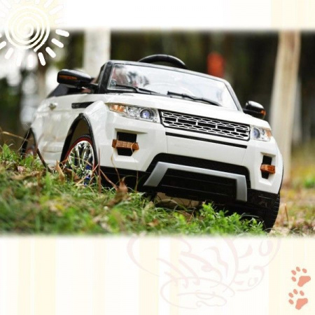 Электромобиль Hollicy "Range Rover Luxury"