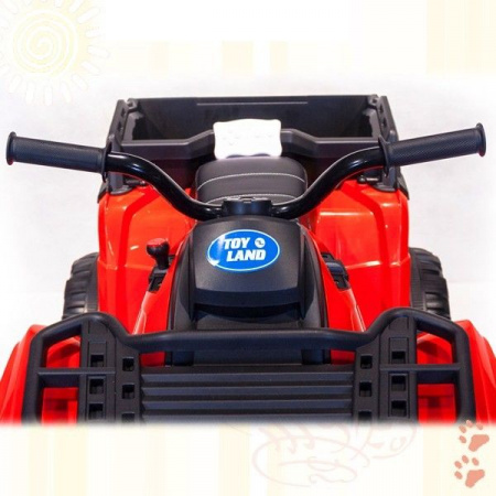 Квадроцикл BDM "Grizzly Next 4WD" (BDM 0909)