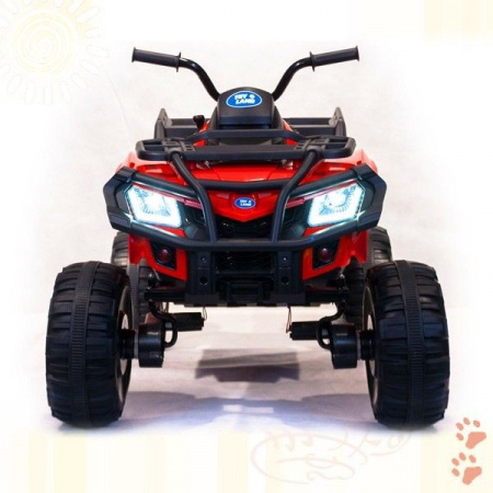 Квадроцикл BDM "Grizzly Next 4WD" (BDM 0909)