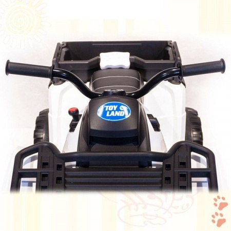 Квадроцикл BDM "Grizzly Next 4WD" (BDM 0909)